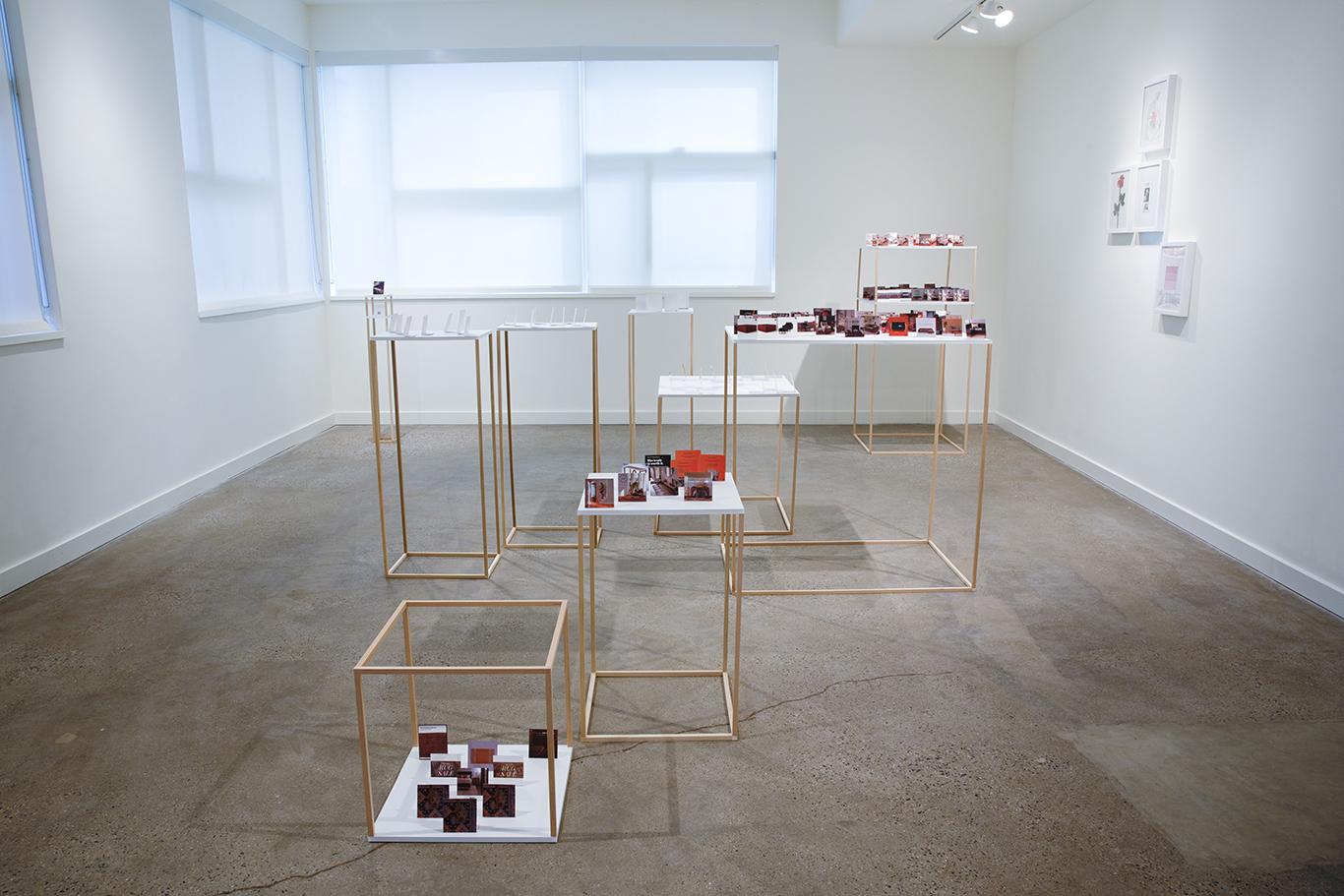 This installation is based on an archive of every ad that I viewed on Instagram over a one-week period. Composed of 126 images that almost exclusively depict household goods, the archive presents a self-portrait through the lens of targeted advertising.