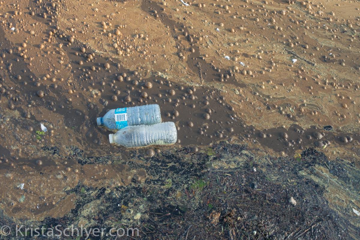 Photo of pollution and trash on the Anacostia River