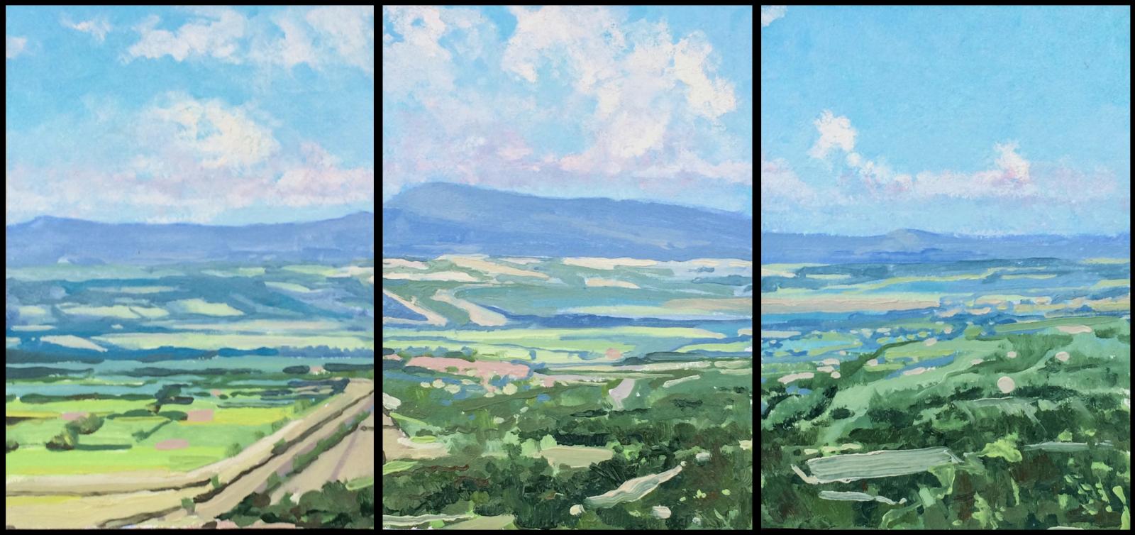 A view to the south from Lucignano