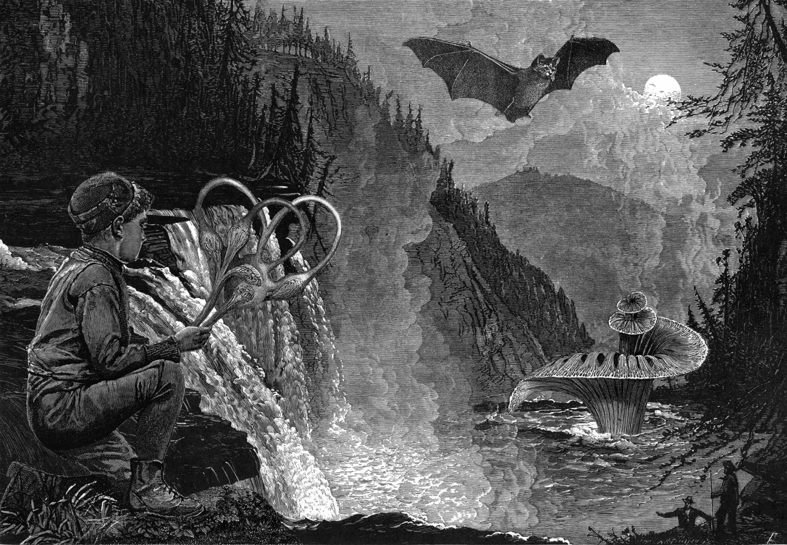 Paper collage utilizing copies of nineteenth century engraving images.