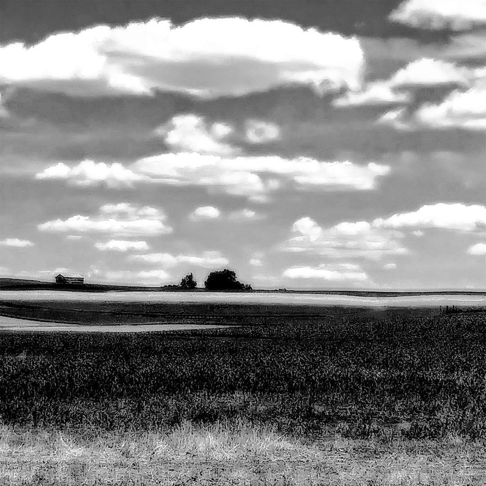 BW Digital