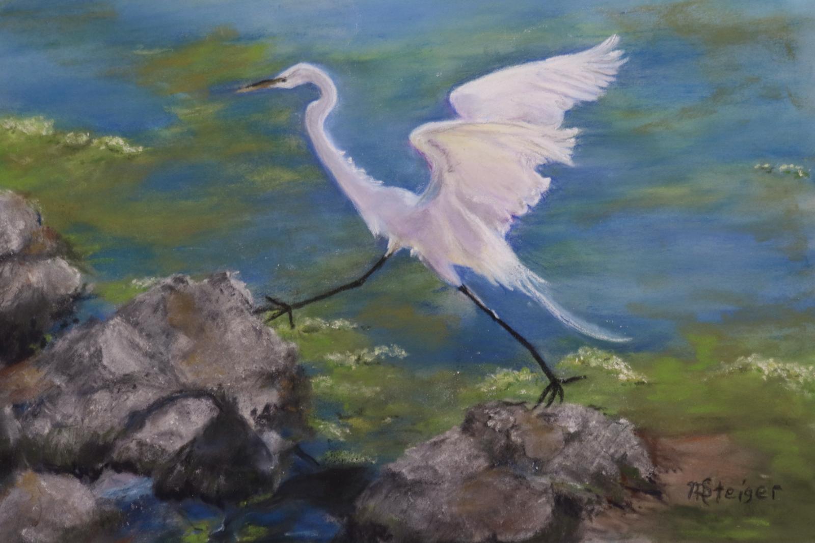 This was the second of three egrets searching for fish.