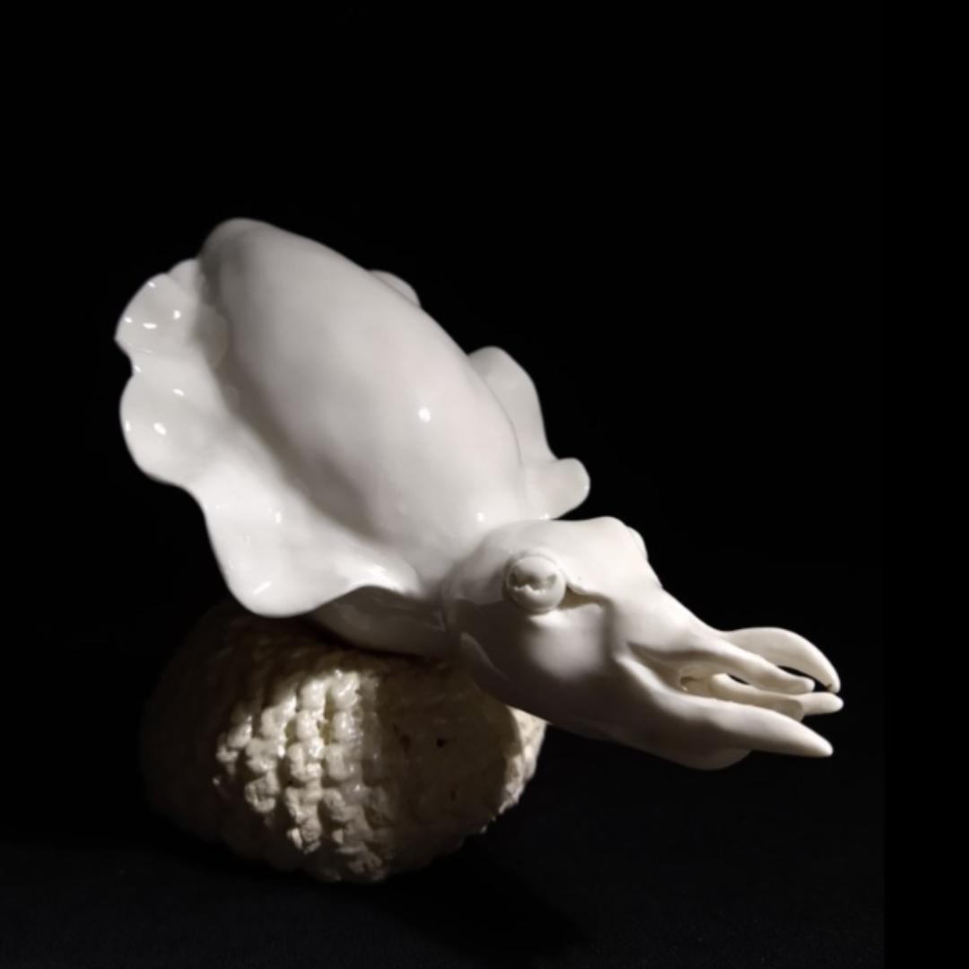 A ghost white cuttlefish perched on a crocheted porcelain pillow (soaked and fired out) 