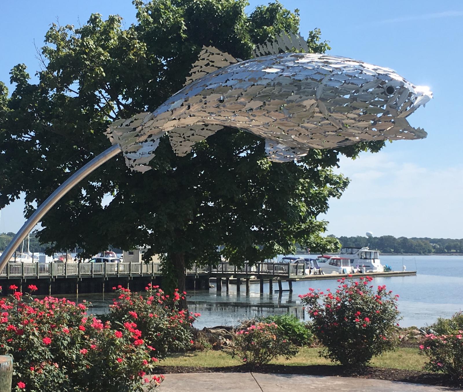 15' tall stainless steel rockfish made of 557 smaller rockfish installed at Concord Point Park in Havre de Grace in August 2019. Cantilevered 12' on a curved pole.