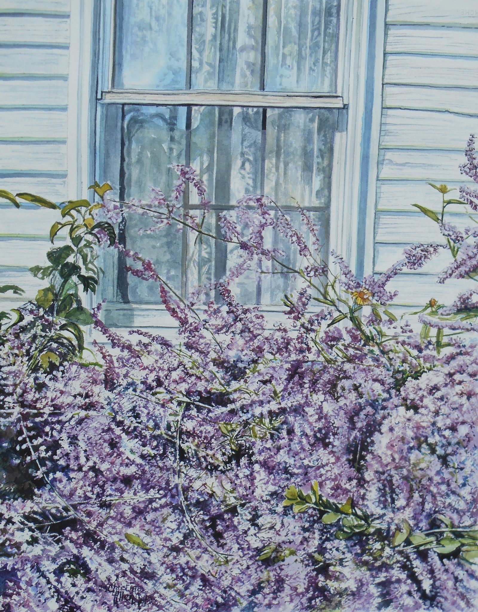 Original Watercolor of a violet-blue Buddleia in front of a white house with a window.