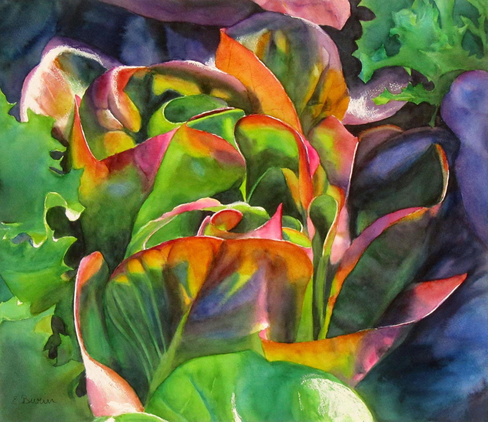 Watercolor painting of red lettuce by Elizabeth Burin