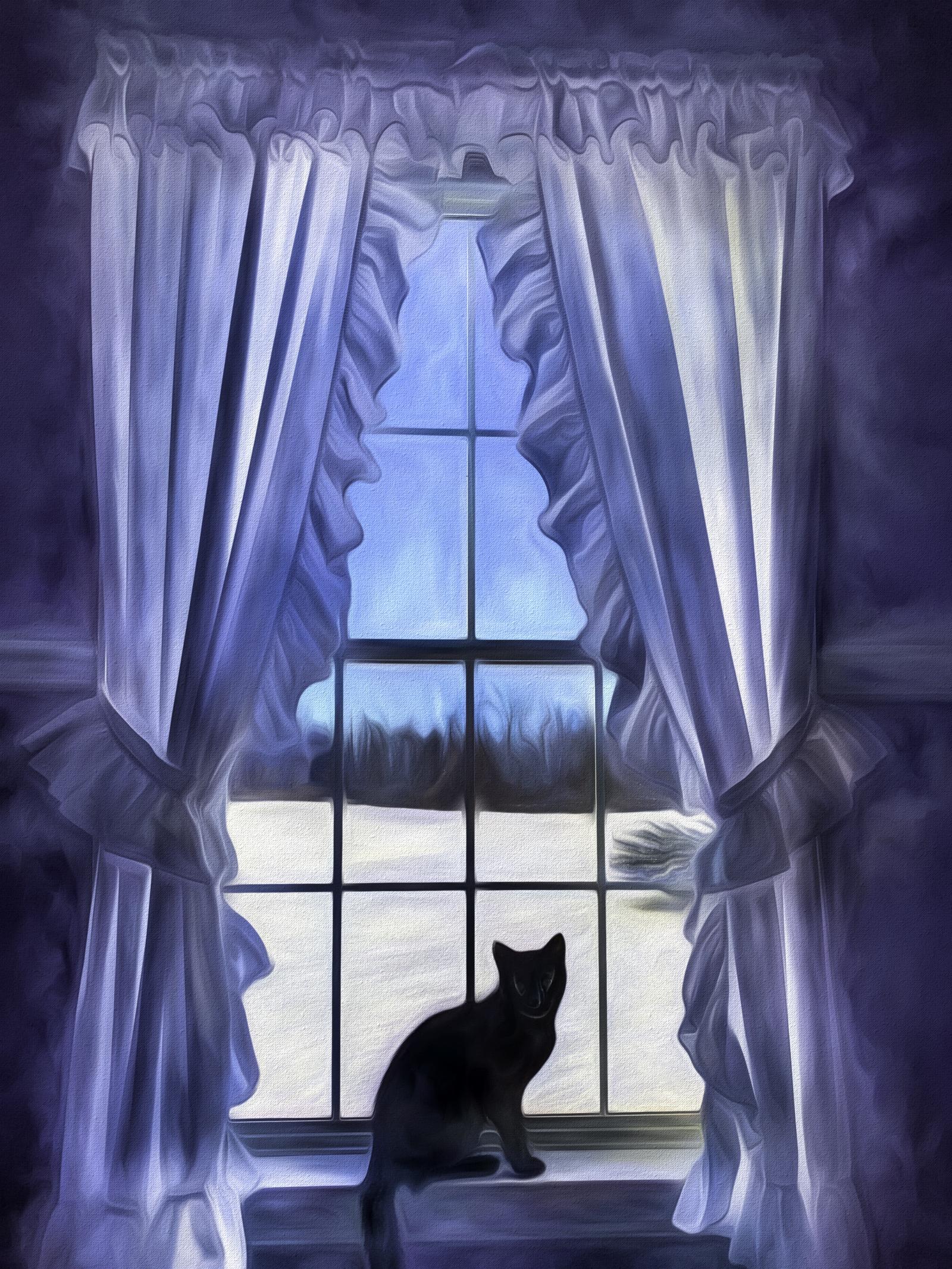 Photo Art Of My Cat Sitting In A Window.