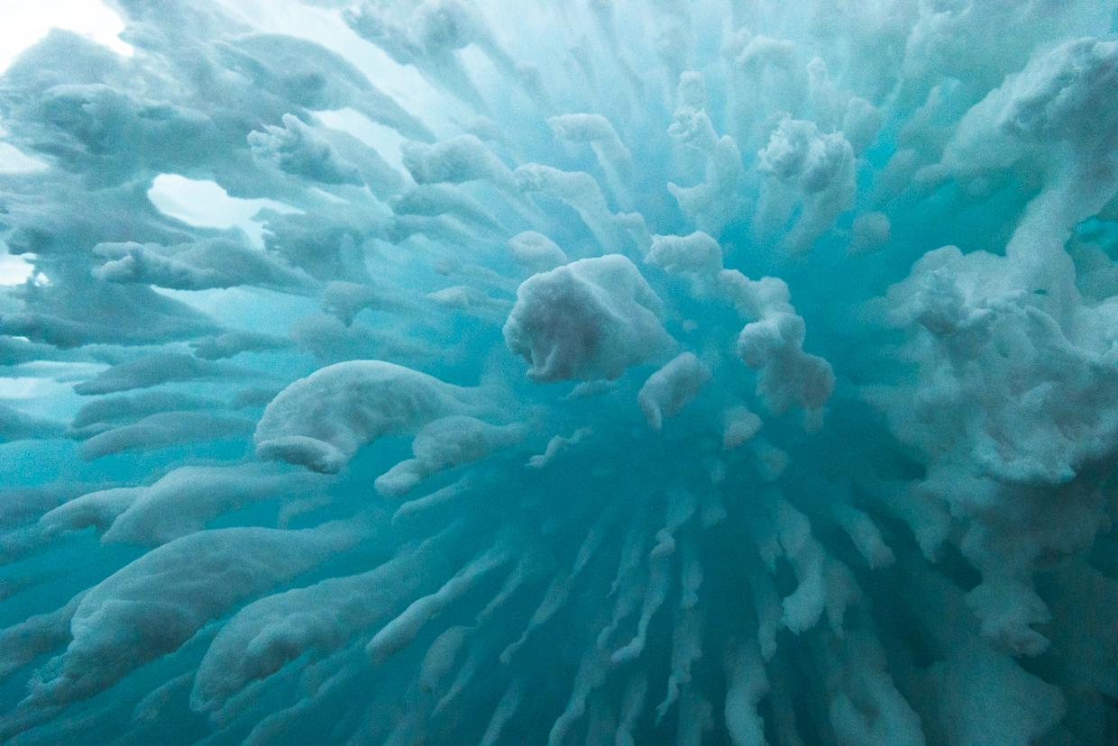 Crystals hang from an interior ceiling just inside the cave entrance.
The Erebus ice tongue is the end of a glacier that extends onto the sea ice on McMurdo Sound. A small opening in the tongue leads to an ice cave containing unusual and fragile ice crystal structures. It is accessible only a few weeks a year. Further back, it is pitch dark, but just inside it, the ceiling had a blue glow, illuminated by sunlight filtering through the ice.