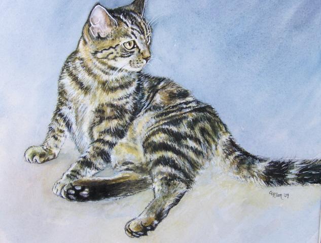 Original watercolor of my tabby cat.