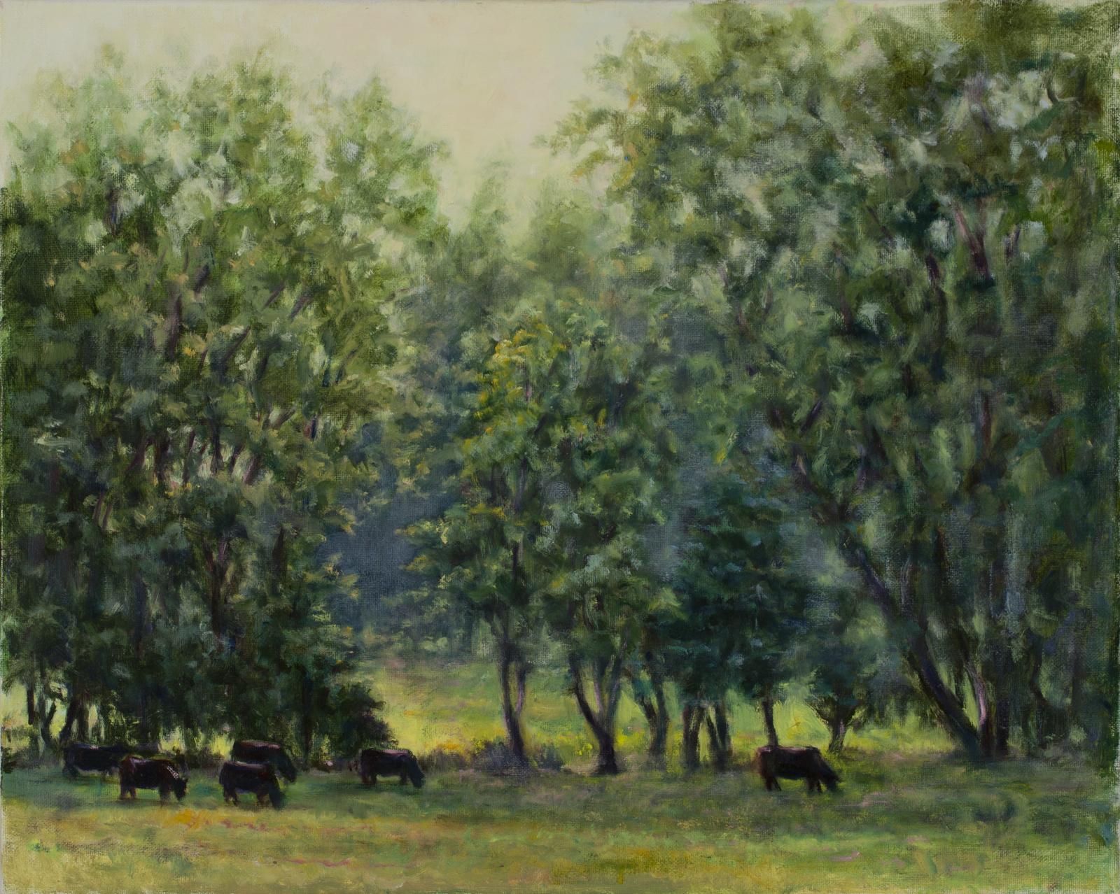Sunlight over grazing cows in a pasture and trees.
Spiritual.