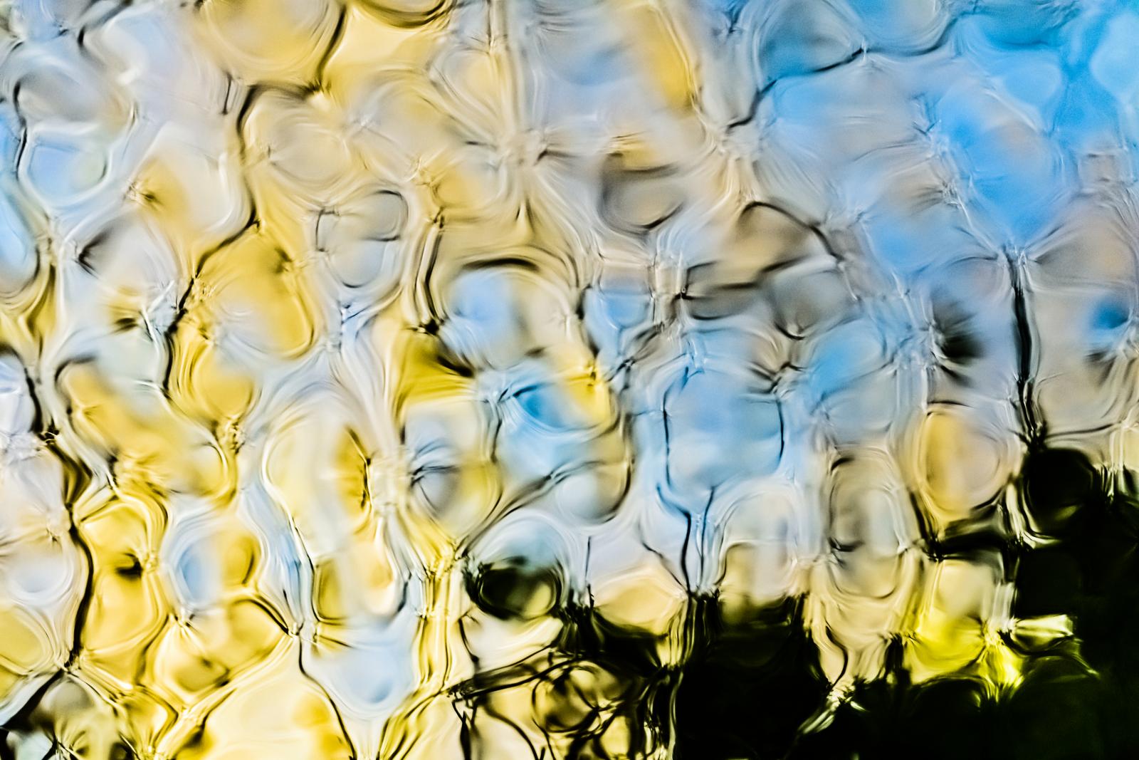 Years ago, my mother contracted someone to build a pond with a waterfall in her front yard.  I often thought about photographing the pond, but my timing always seemed a little off. By the middle of May the surface is covered by lily pads, by mid-November it is usually frozen over, and all other times I never seemed to be armed with my camera. At last, this past March, there was a warm spell that melted the icy surface of the pond and the grey days of winter melted with it. The only reflection in the water was the yellowed stalks of water iris that lined the edge of the pond. I was not feeling optimistic. Suddenly, the sun found its way through the canopy of trees and hit the ripples in the pond, shimmering across the water. The hose the feeds the pond was not yet returned to the waterfall but rested on the ground forcing water across the pond's surface. This combination of light and large ripples reshaped the reflection of dead grass into yellow pansies, and offered a wonderful celebration of spring.