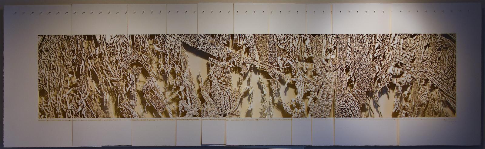 Cut Paper Sculpture of Panoramic View Of Cornfield