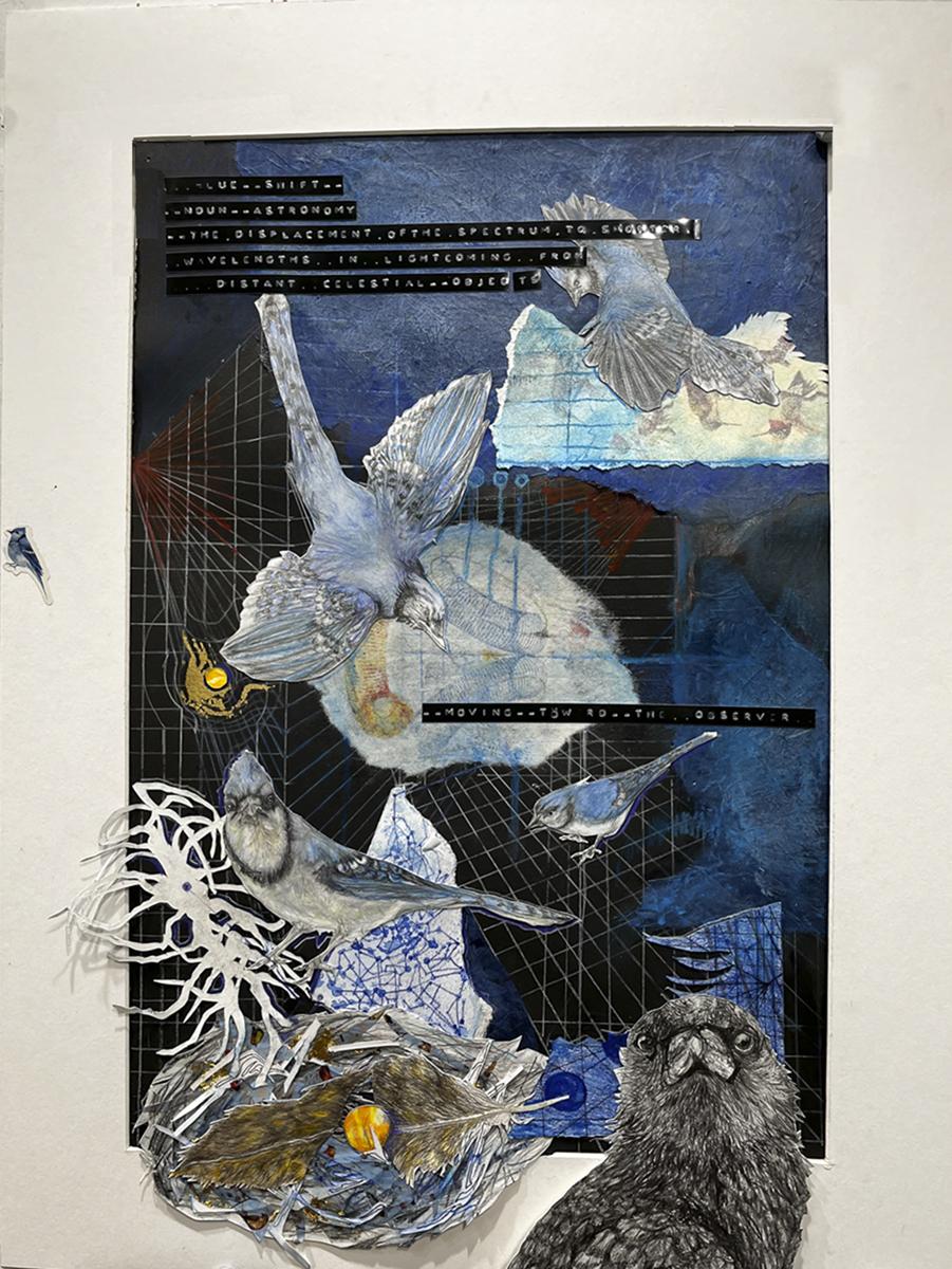 multiple views of grids with blue jays a bird nest and text with one crow looking at the viewer