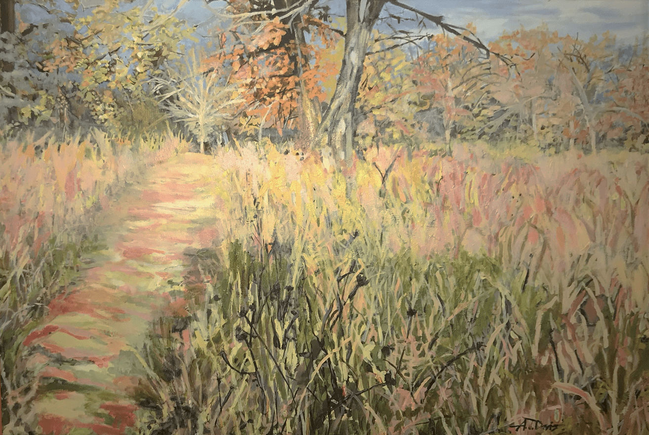 Shenandoah Mountains