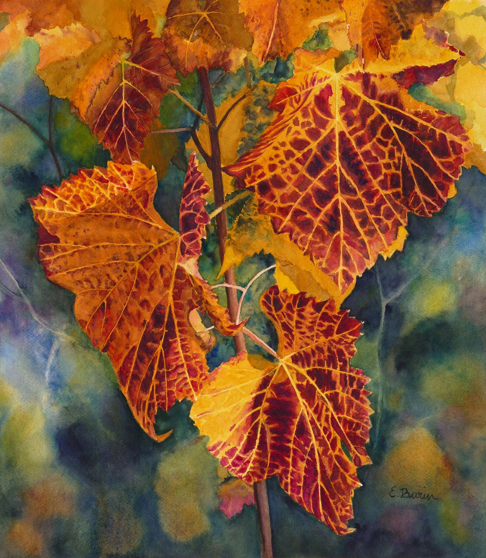 Watercolor painting of vine leaves in fall colors