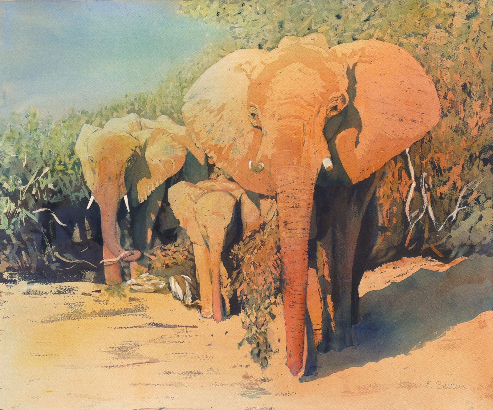 Watercolor of desert elephants