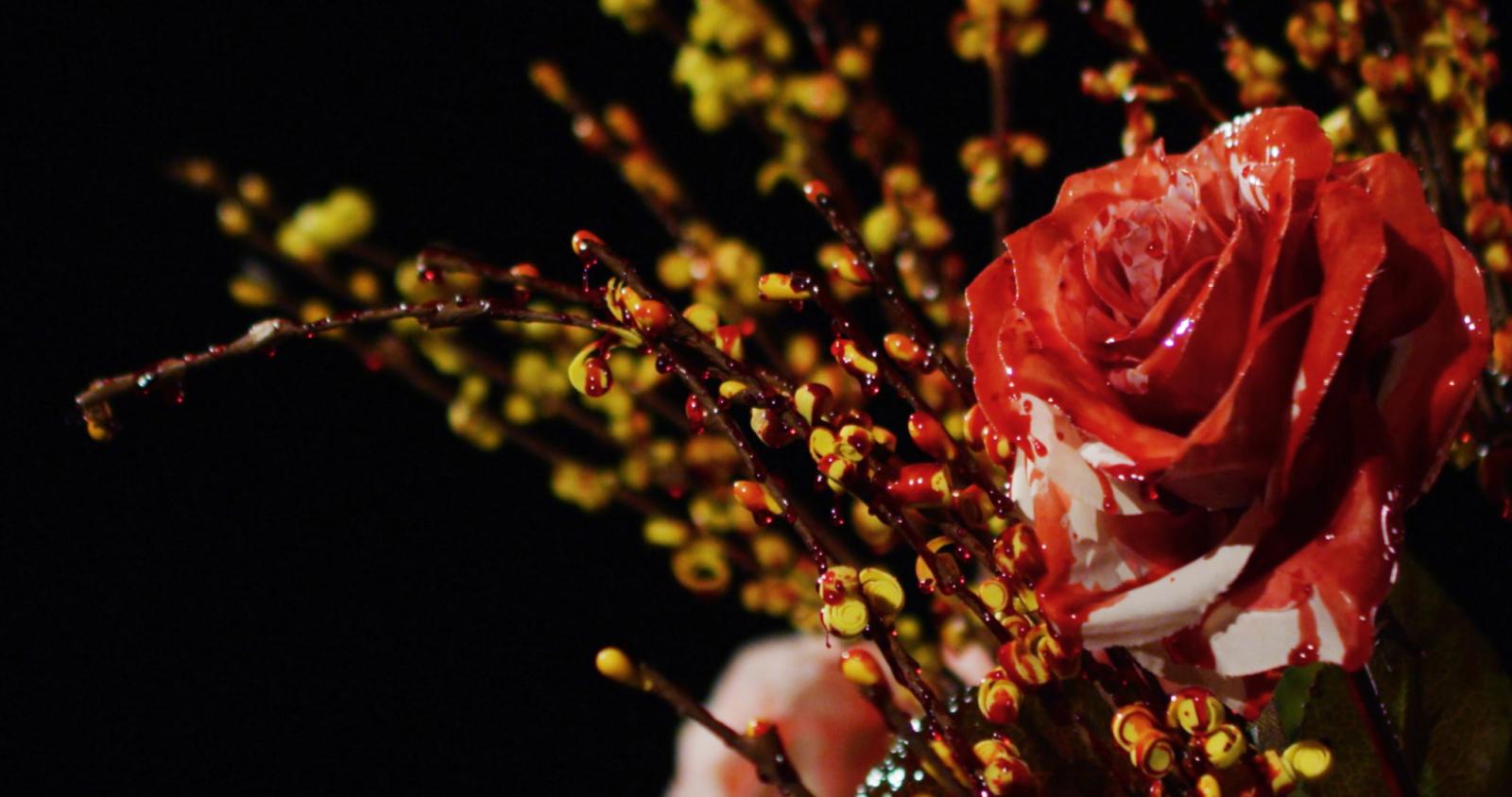 Fake blood watering fake flowers. In this time when we call fake things real and real things fake, what are we growing?
This video references a nature-documentary style, shot in high-framerate slow motion. It depicts fake national flowers watered with fake blood.