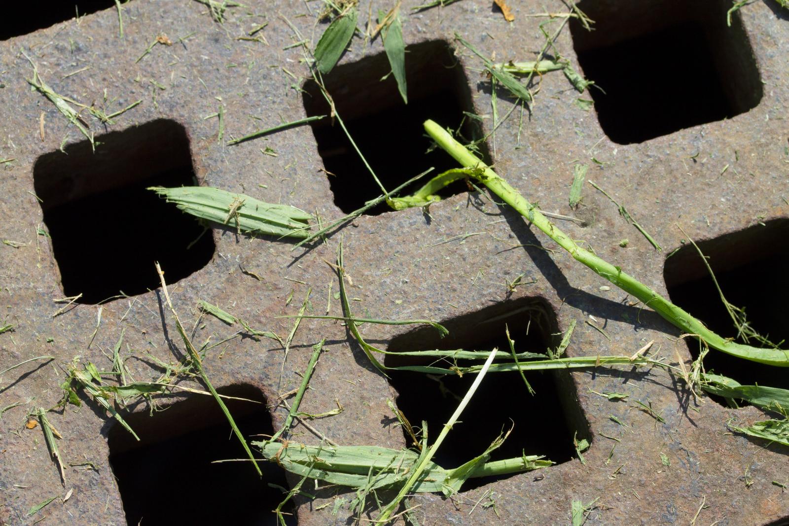 zoomed in digital photograph of object