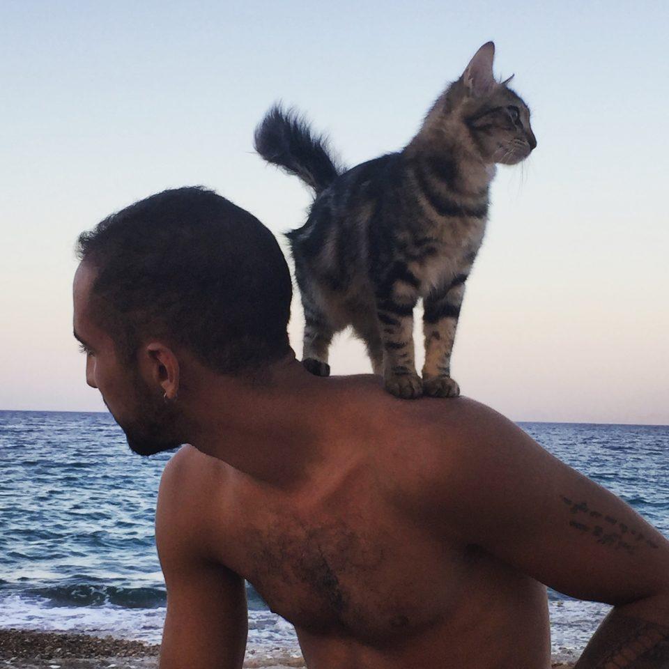 Companion
