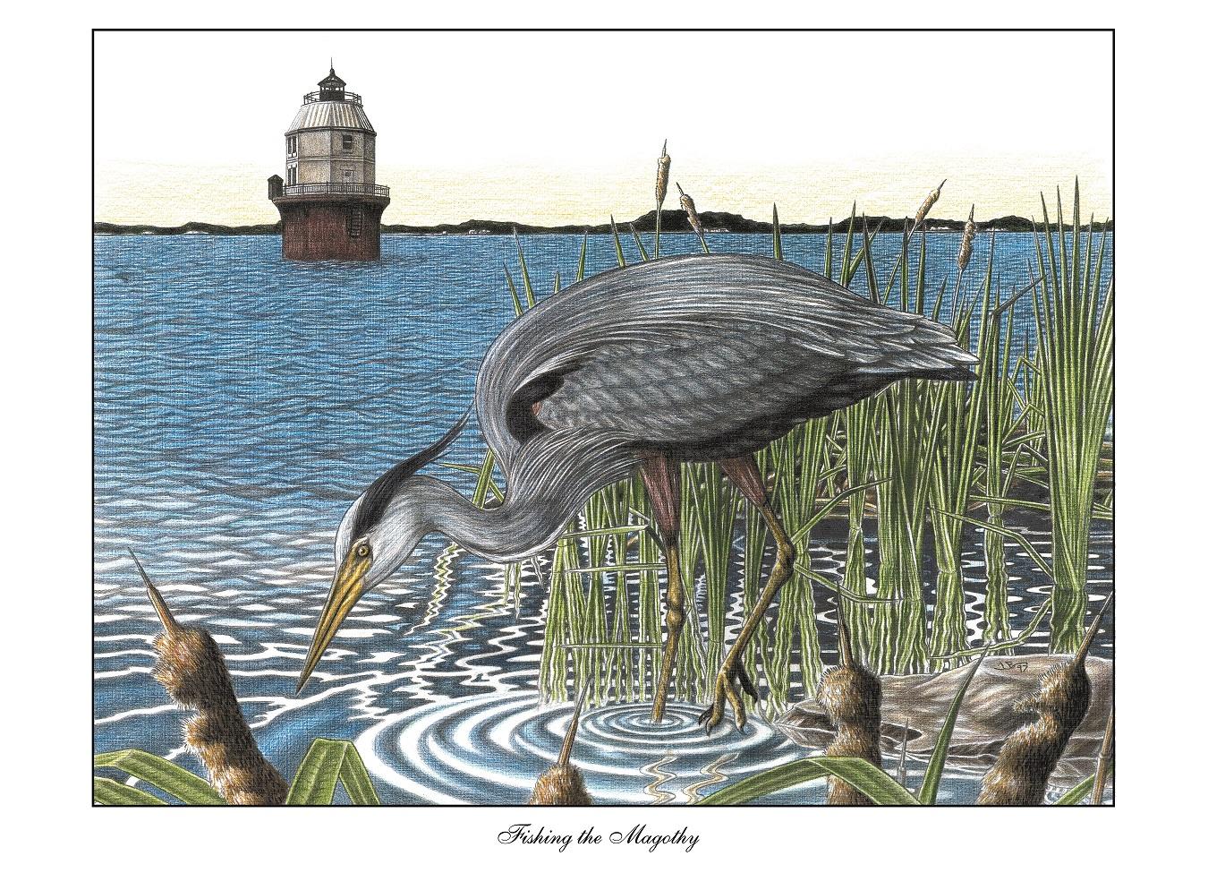 A blue heron continues the constant quest for food in the marshlands near where the Magothy River meets the Chesapeake Bay.
The Baltimore Light guards the entrance to the Baltimore Harbor and was built in 1904 at the Mouth of the Magothy River, the last lighthouse built on the Chesapeake Bay.
For the Marylander, crab lover, boater, Chesapeake Bay coastal resident, sport fishermen or fisherwoman.