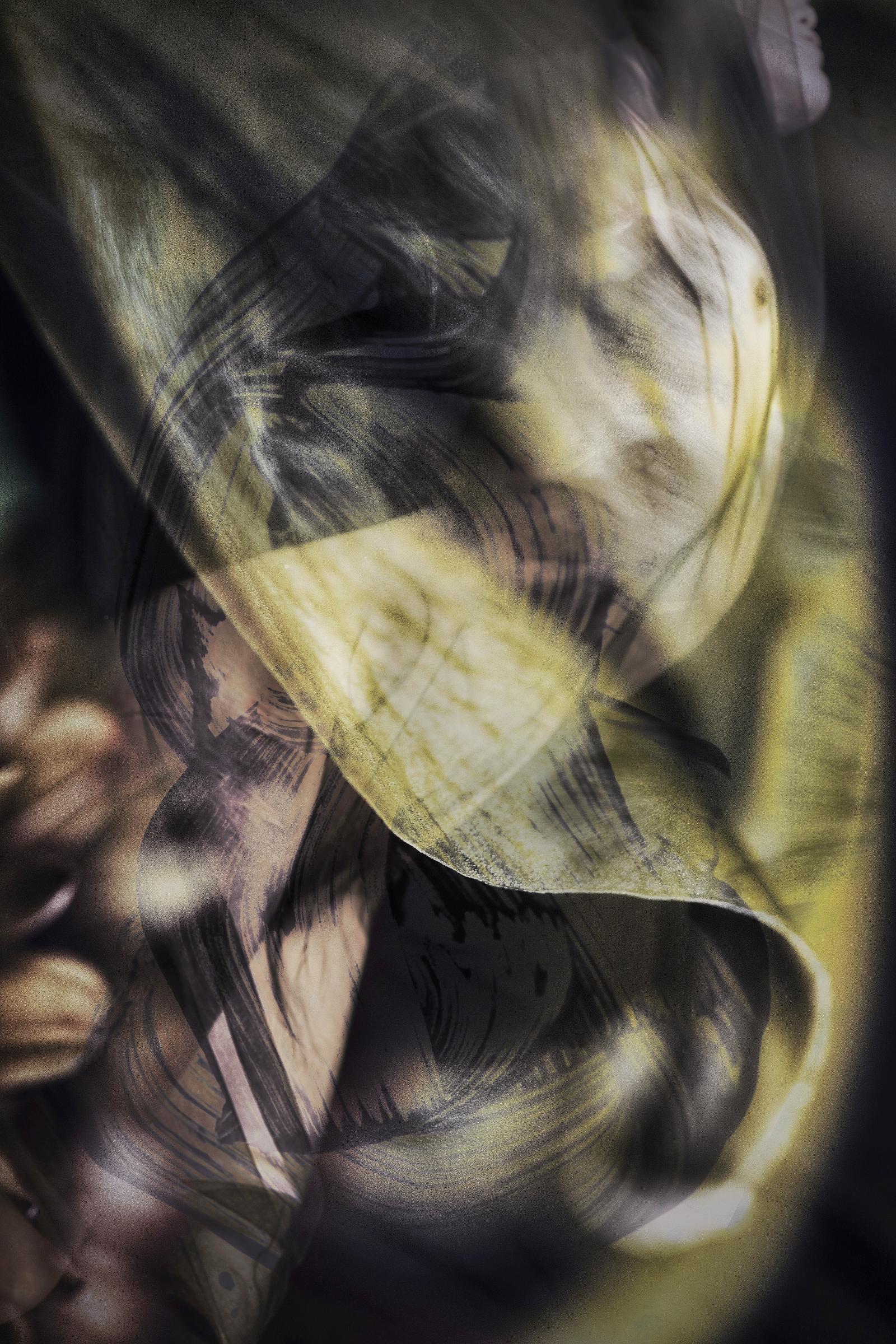 Digital Composite assembled in combination of acrylic paint strokes captured in camera.