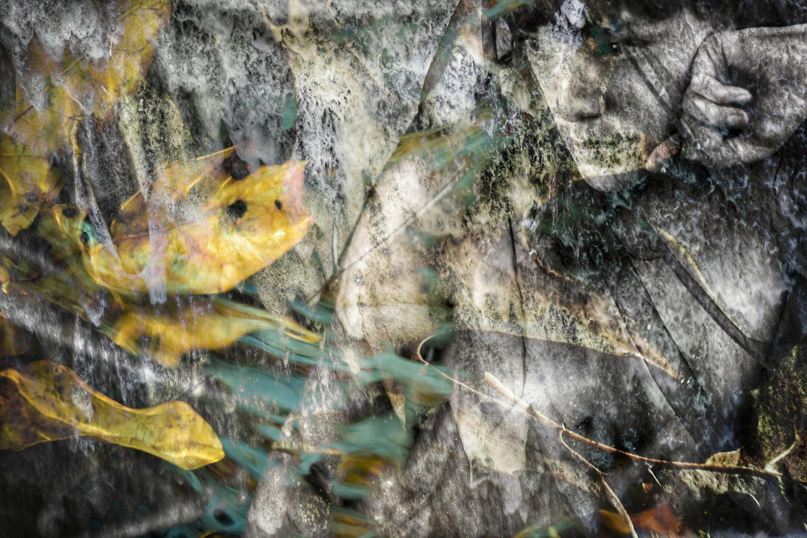 Part of series that was inspired by Autumns beauty, the power of water and a female figure, mother earth.