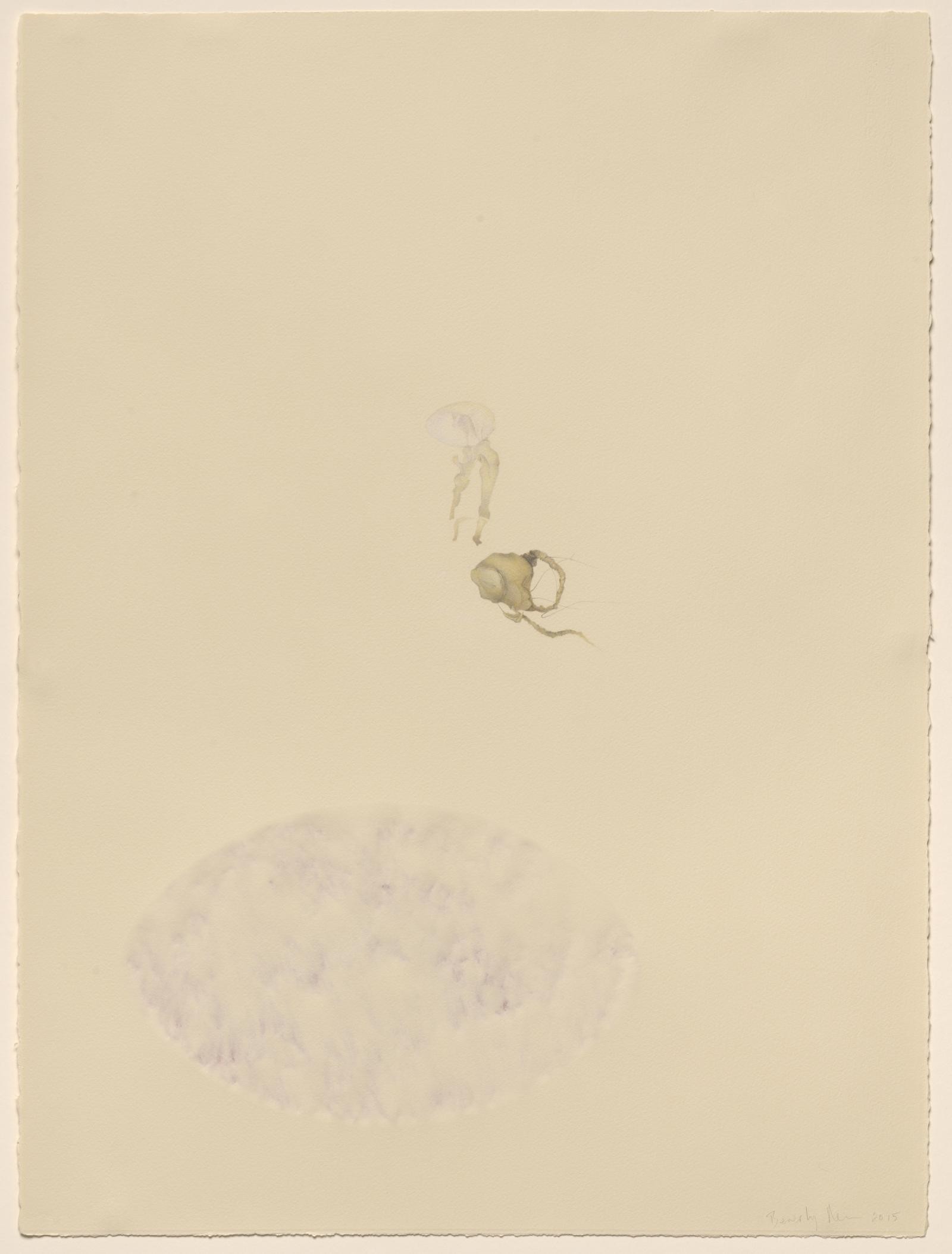Drawing of a small calcified heart and an amniotic sac, from the Mutter Museum (Philadelphia), paper carved on the back, and powdered pigment rubbed into the back surface.