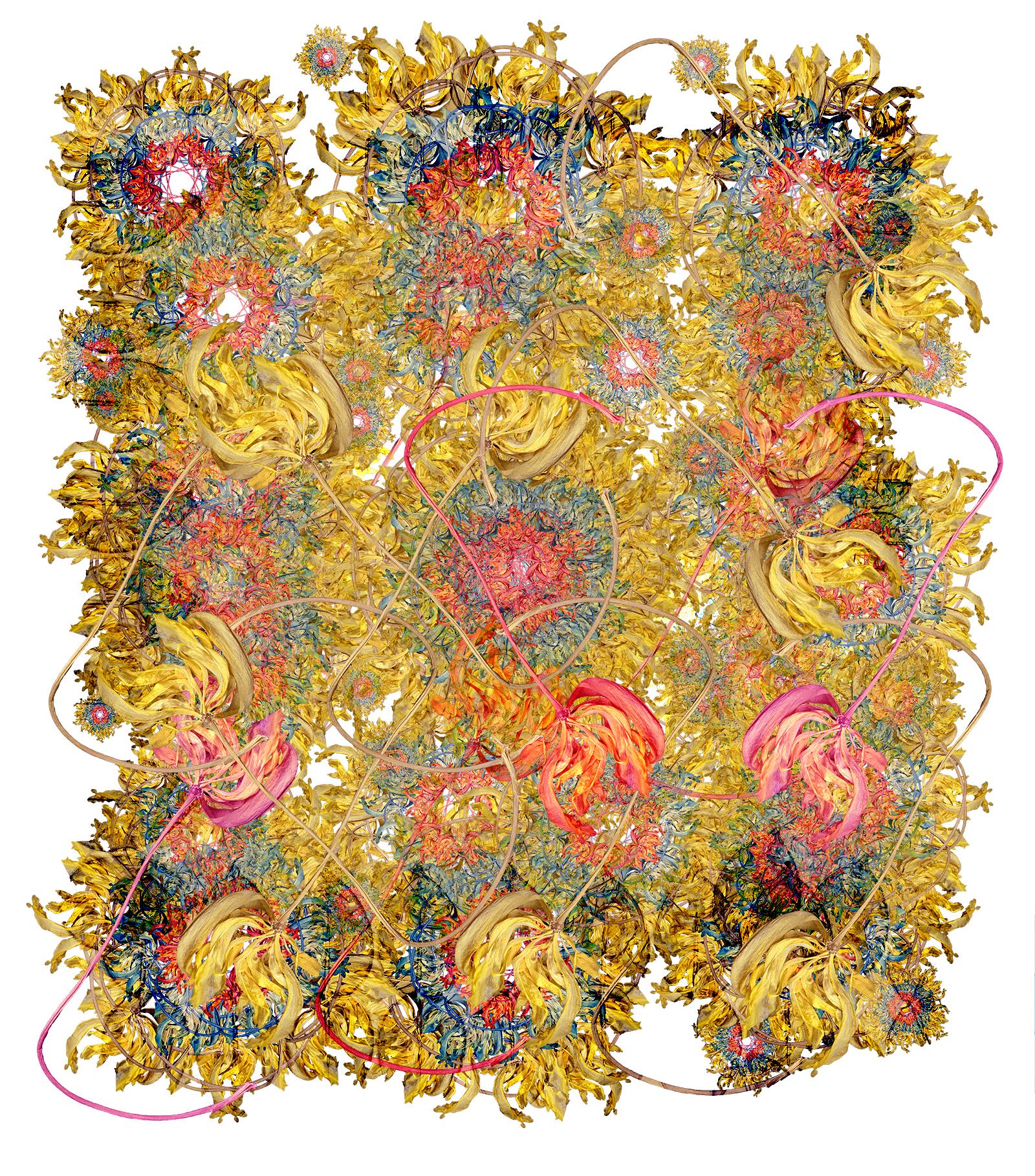 This image comes from a pure love of natural elements in my environment. By featuring these rather small elements very large, I draw importance to the everyday. This image is composed using super high resolution scans. This image is made up of 3 scans. I use the scanner as a camera.