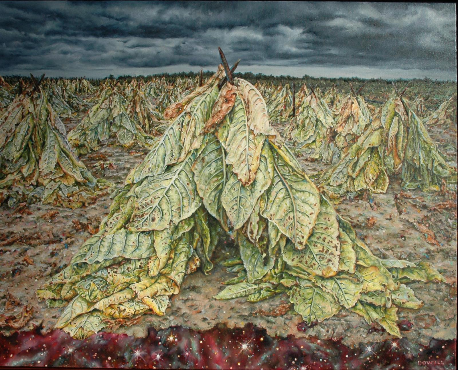 Calvert County Tobacco