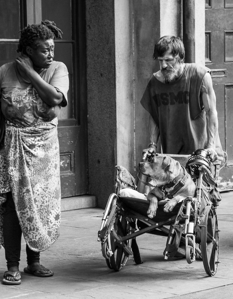 Jackson Square in New Orleans teems with all types of people.  The woman on the left had been walking about the square for a while as I watched.  The man wheeled in with his dog, and they began walking and talking together like old friends.  The dog appeared as familiar with the woman as the man and completed the group.