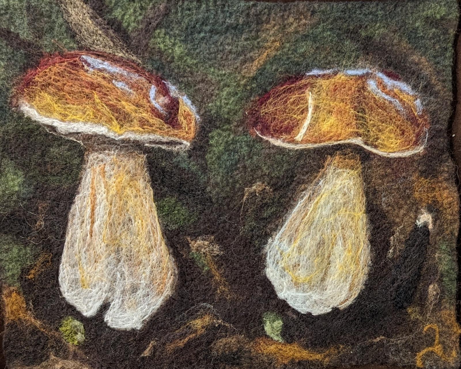 The little bit of Boletus we actually see.