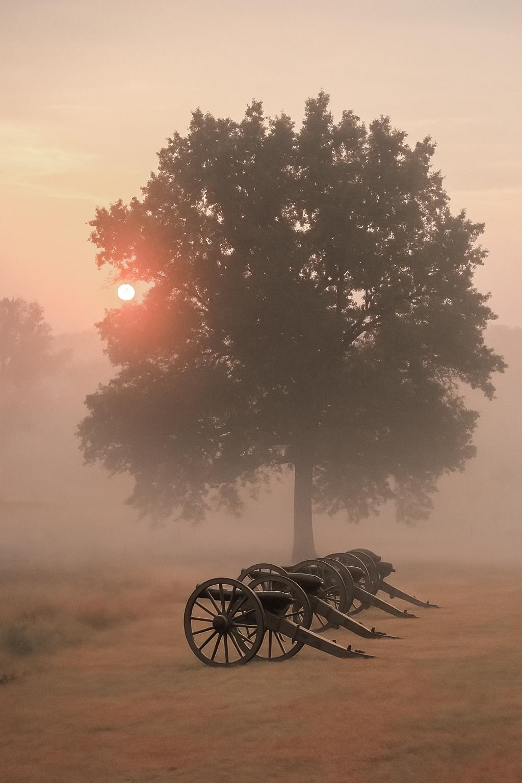 At dawn, a veil of mist transforms the battlefield into a scene of quiet reflection. The rising sun glows through the haze as a row of cannons stands beneath a solitary oak—symbols of conflict now softened by time and light.