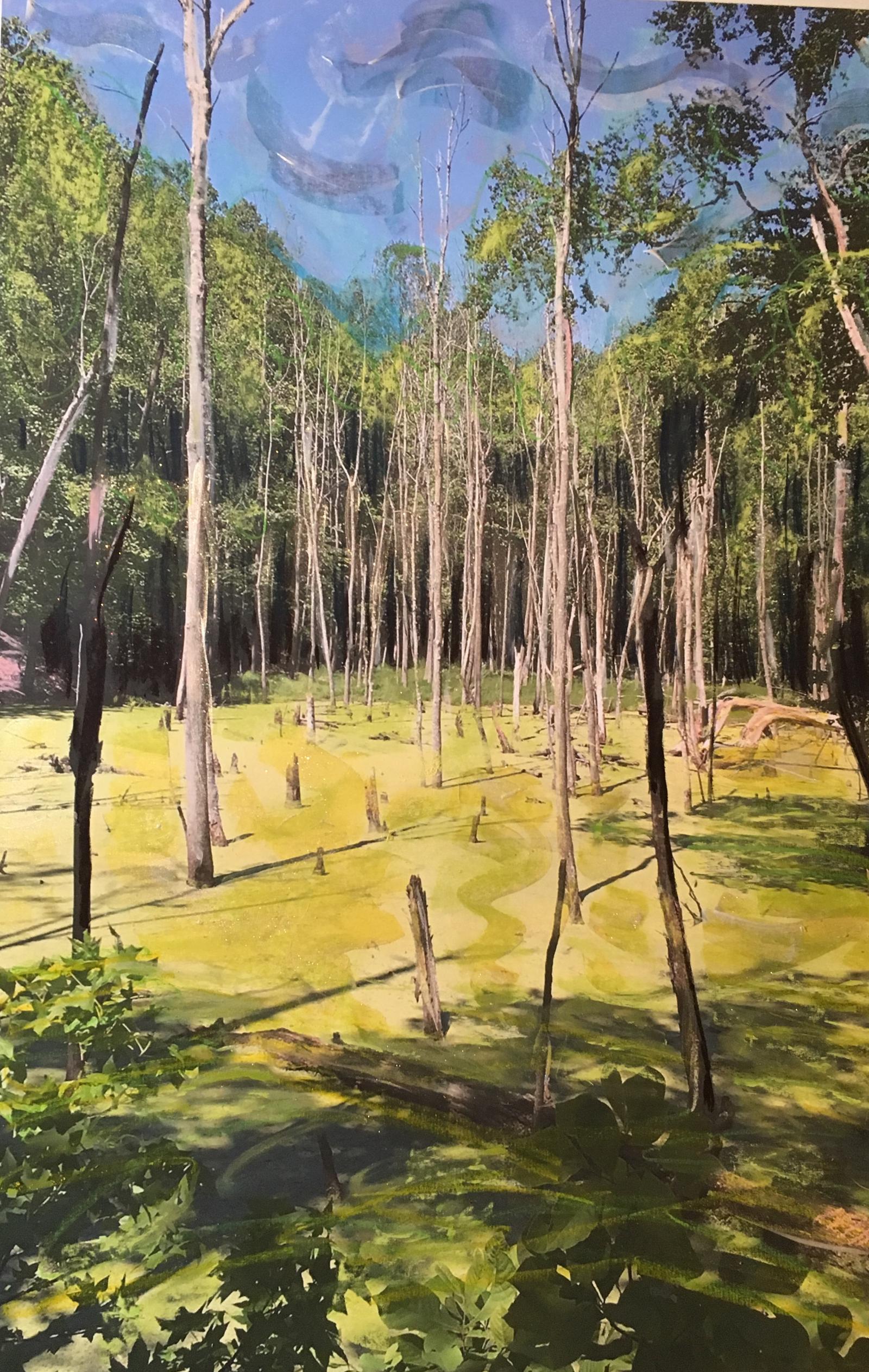 paint, pastel, mixed media on photograph