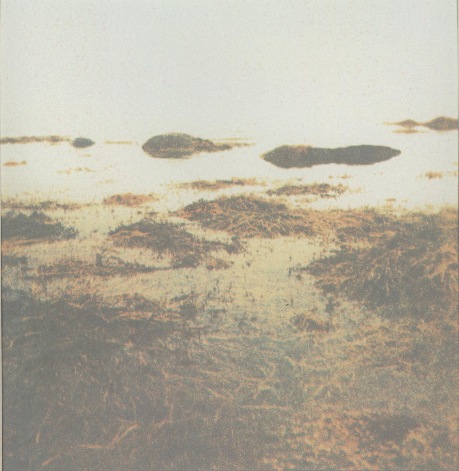 This is a 3 color Gum BiChromate (watercolor) print made from a film negative. It was taken in the summer of 2016.
