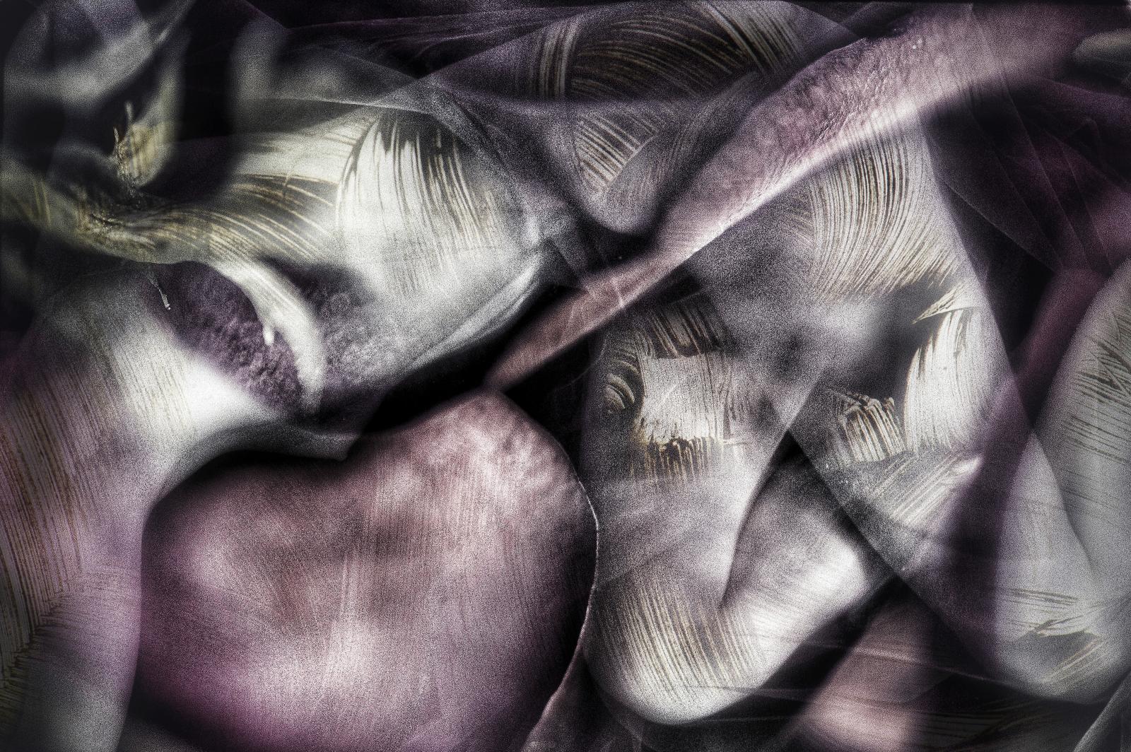 Digital Composite assembled in combination of acrylic paint strokes captured in camera.