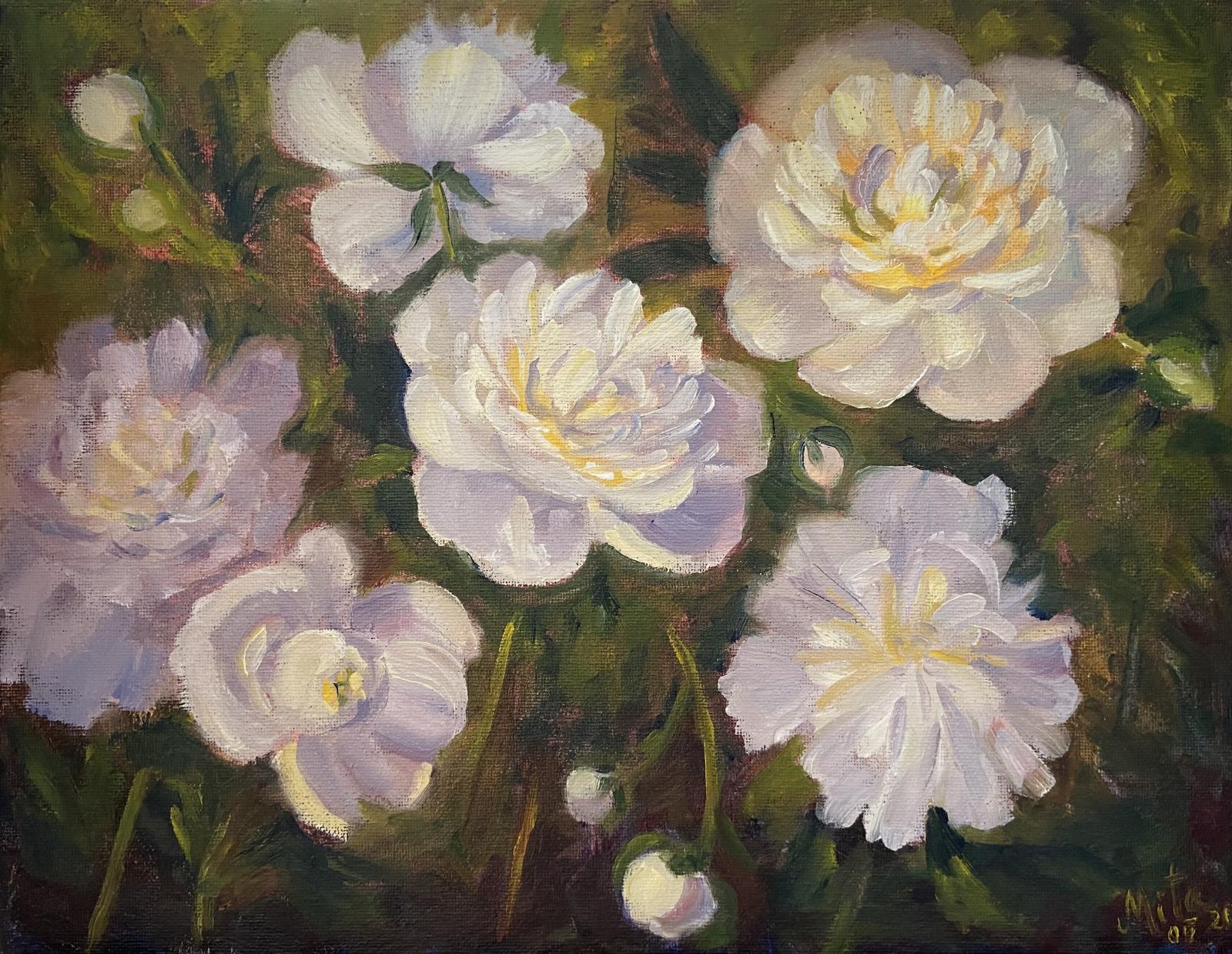 Peonies are beautiful, delicate and fragrant flowers. I did a plein air painting in my garden to capture the beauty of these flowers.