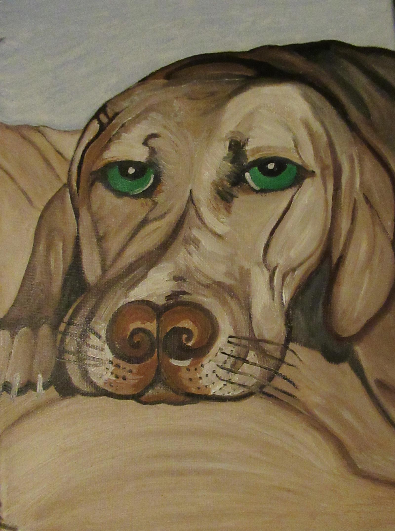 Dog that was used as an Illustration in Connected Worlds  a fantasy fairy book coming out Sept. 2019