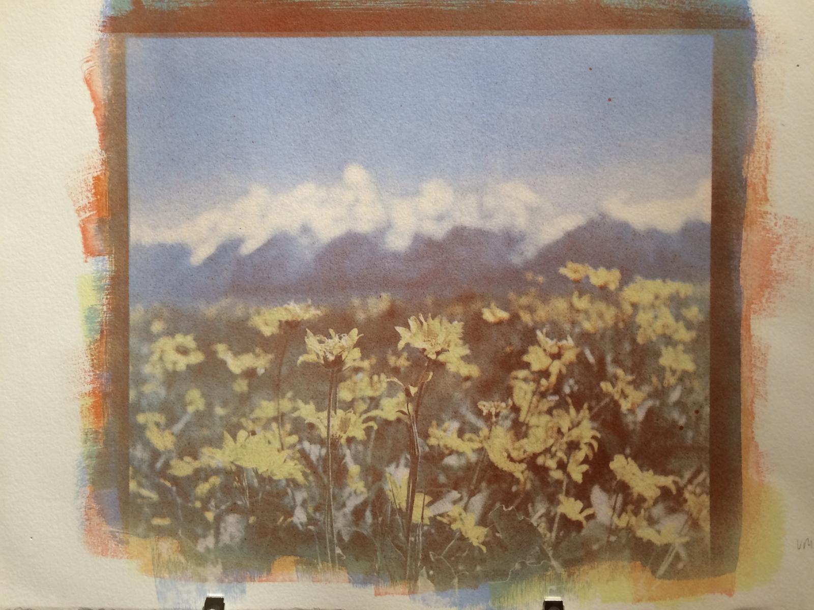 This is a 3 color Gum Bichromate print from the Tetons.