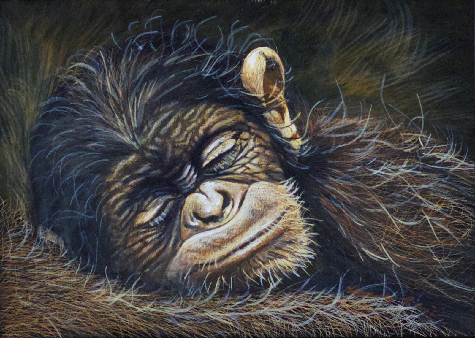 Scratchboard and Watercolor