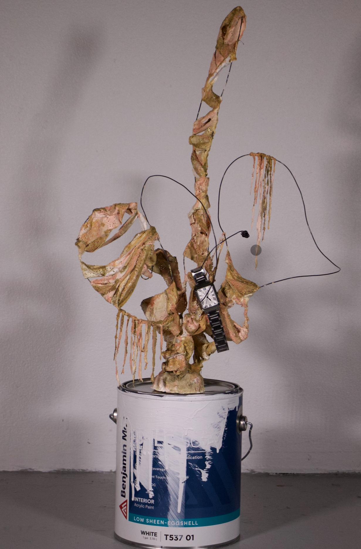 From “You are a beautiful flower, for now.” series. This is a sculpture series that speaks on how female aging is perceived under sick societal obsession towards young pretty women. There is beauty to aging. But does the society see it that way? Are we aging? or merely decaying?