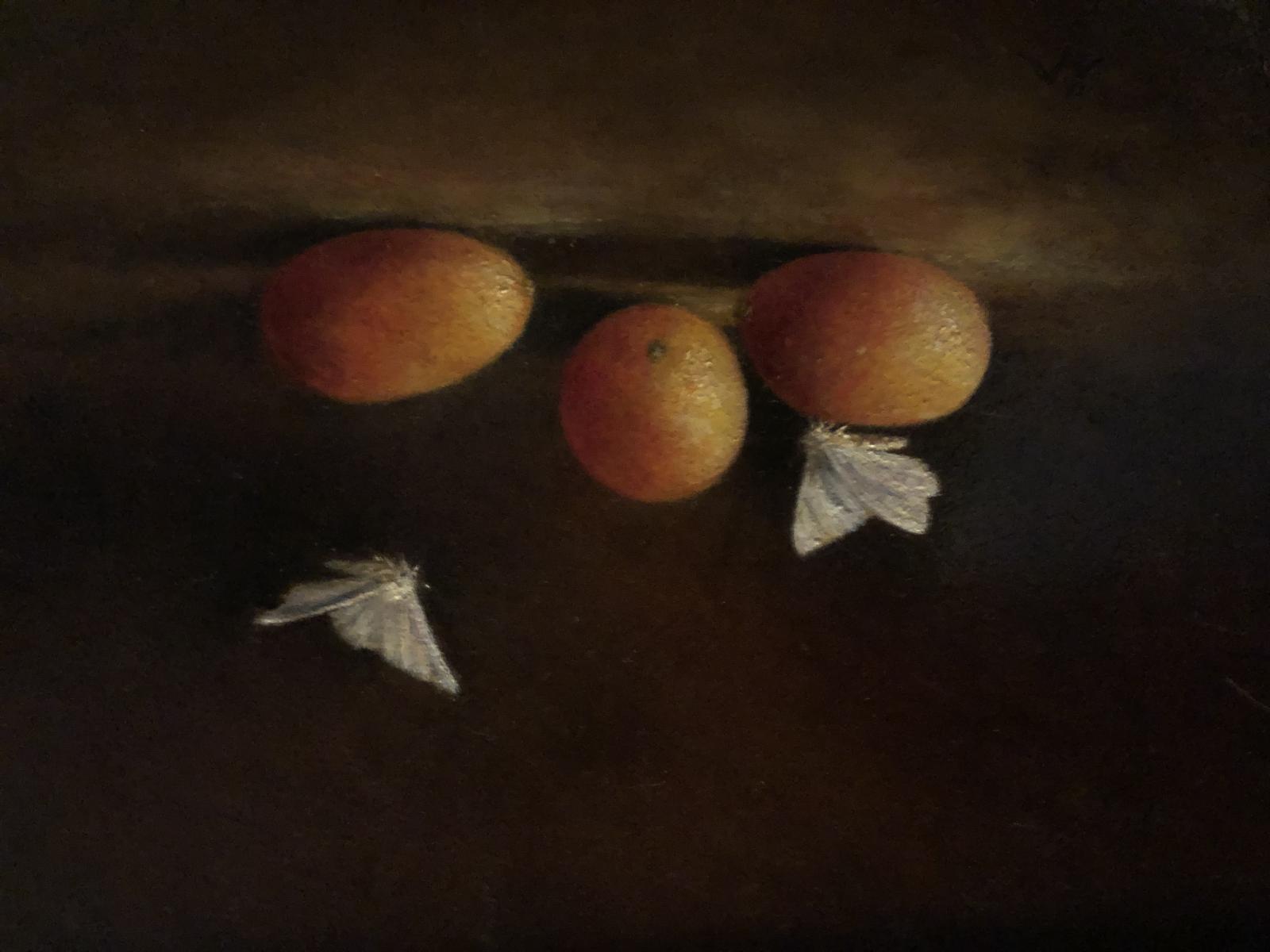 Oil 5x7 on panel 