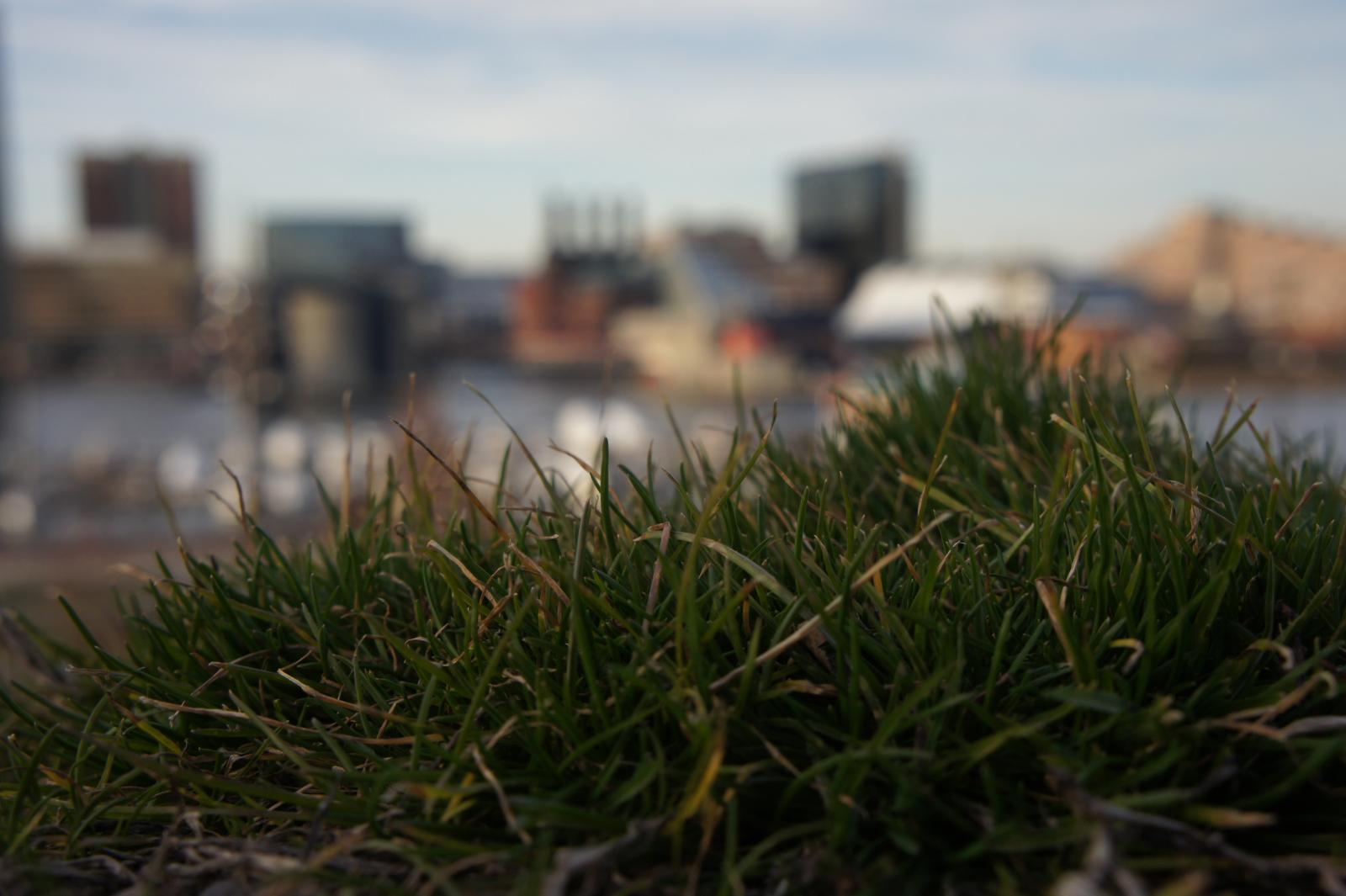 Sitting atop Federal Hill Park allows you to peer into the Inner Harbor in a way that is beautiful. Peaceful. This photograph shares one of those views.

Location: Federal Hill Park