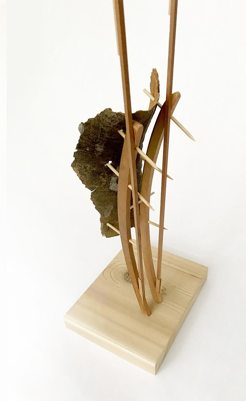 This piece was inspired by a walk in the woods where I found this piece of bark that inferred skin or leather. The curved coat hangers suspend pushes the bark toward the observer. Exhibited at the Maryland Federation of the Art's show: "Eye of the Beholder" in 2019.