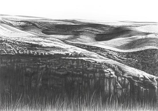 Bedrock and a steep wall of columnar basalt are juxtaposed with  an agrarian landscape of rhythmic lines creating a scene of contrasting elements. Plowed lines, enormous rocks, spring wheat, and wild grasses are juxtaposed in a play of textures and shapes. Fields of grassy landrace varietals stand in the foreground. 