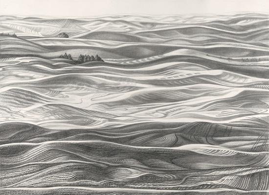 Graphite drawing on paper depicting the rhythmic flow of the agrarian wheat landscape of the Palouse region of the United States. This drawing documents years of farming, erosion, and harvesting on the dunes created by glacial outwash on the region of the Palouse. 