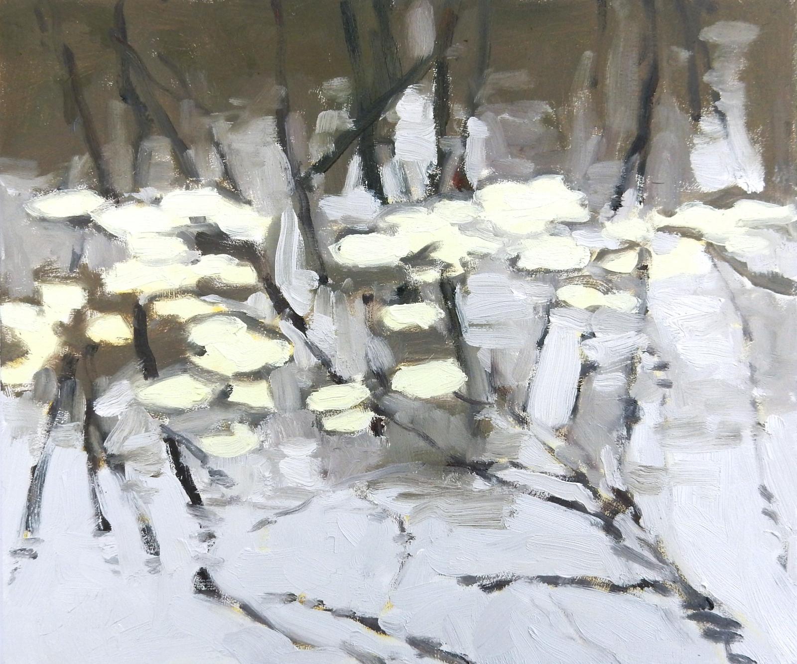 I painted this beside one of the ponds in nearby County Home Park, Maryland. It was cold, and the spring lily pads were just starting to grow. You can see the reflection of the still-bare trees against the gray sky. The lily pads had a light lemon-lime glow.