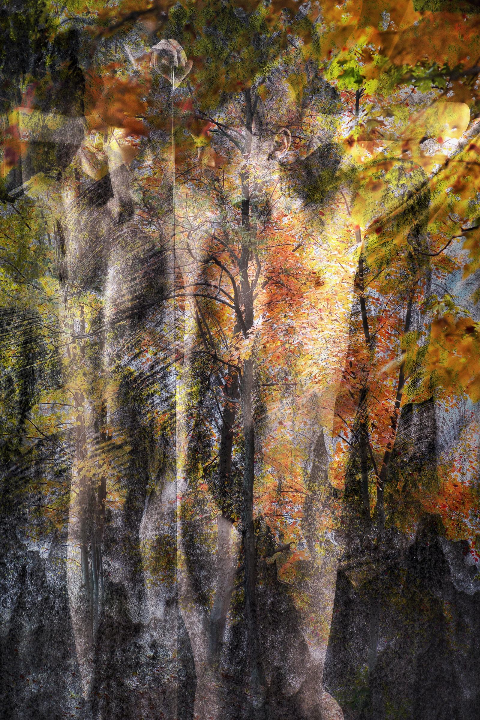 Part of series that was inspired by Autumns beauty, the power of water and a female figure, mother earth.