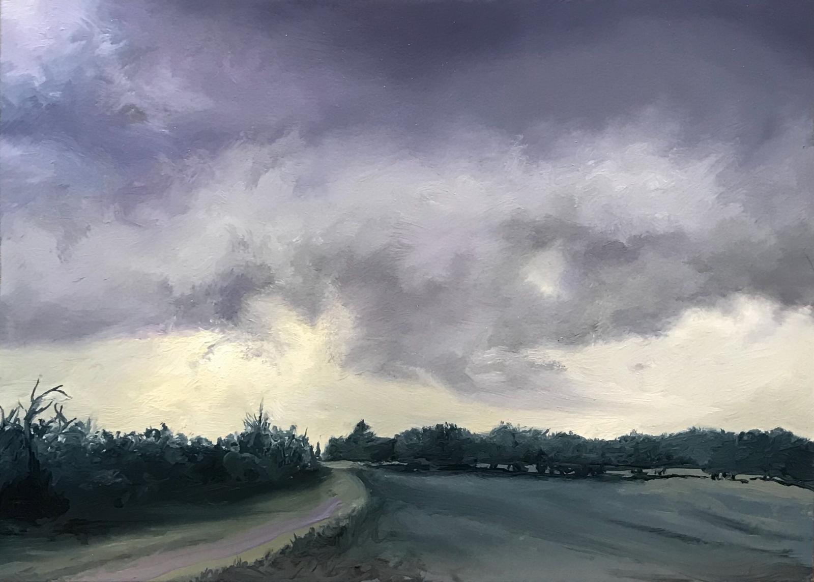 A quick oil study of a storm coming my way.