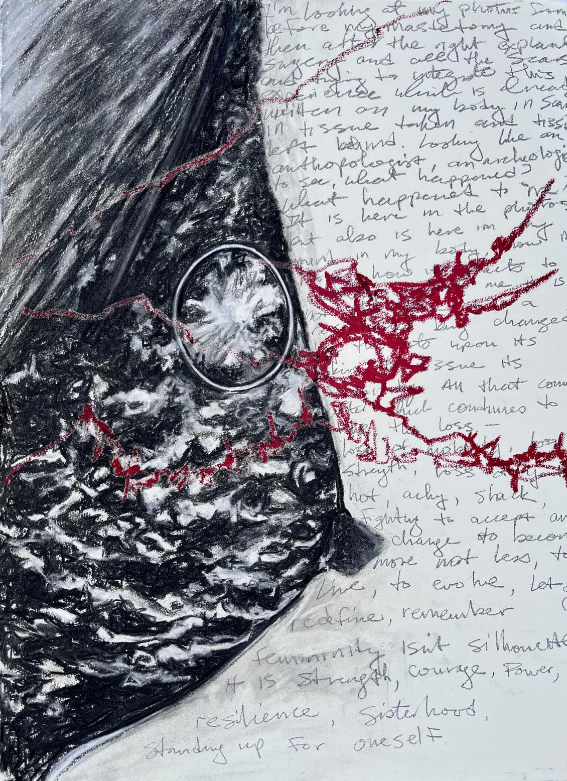 Deborah Tomlin was diagnosed with breast cancer in 2022. Treatment left her with physical and emotional scars and an unfamiliar body. In an attempt to reintegrate her new self image Tomlin began combing through images of her experience. This led Tomlin to a series of drawings based on mammography films of her breasts taken throughout her diagnosis. In Mammography Journal- Written on My Body, text from journal entries is layered behind and beside the mammography image to transform the clinical to the personal, expressing her anger and grief.  
