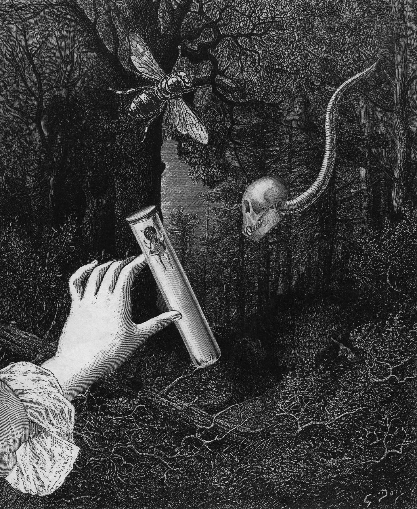 Paper collage utilizing copies of nineteenth century engraving images.